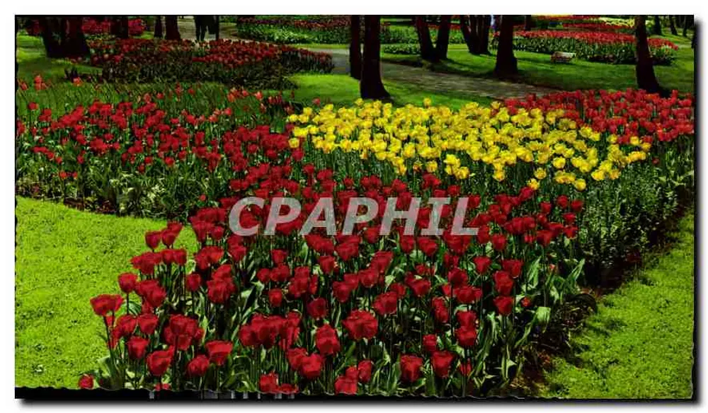 Tulpenpark — Holland — Verlag Kettate, n° 916.332 - Vorderseite