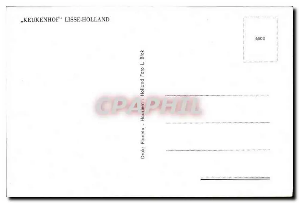 Garten des Keukenhof — Lisse, Holland — Verlag Planeta, Nr. 6503 - Rückseite