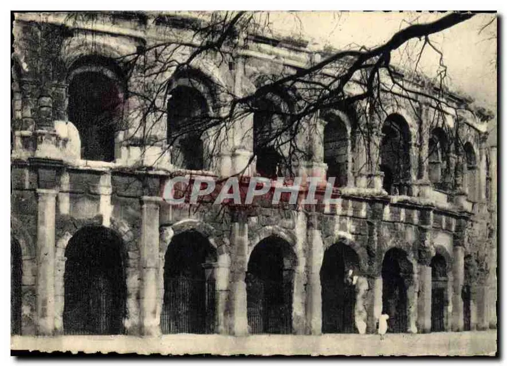 Nîmes — As Arênes — Editor francês, n° 484 - Frente