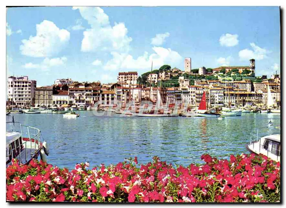 Cannes - Der alte Hafen und der Suquet — Les Éditions GILLETIA, n°346 - Vorderseite