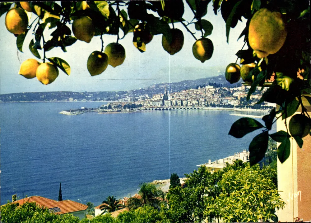 Menton — Allgemeiner Blick — Éditions Jean Jaurès - Vorderseite