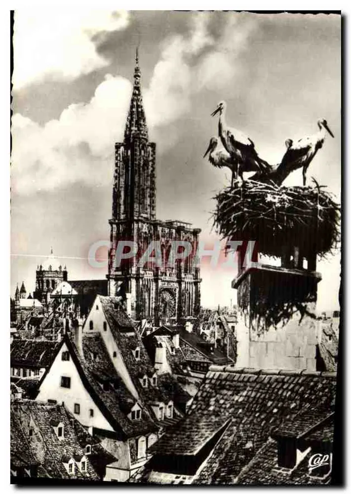 Estrasburgo — As Cegonhas — Béal-Photo - Frente
