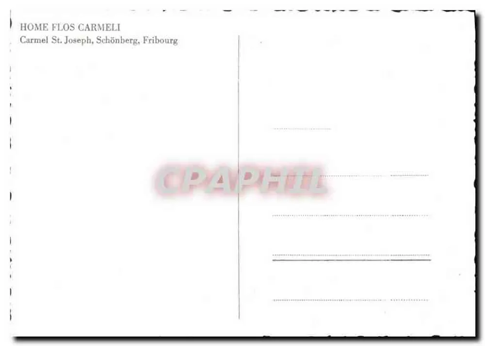 Garten mit Bäumen — Home Flos Carmeli, Fribourg - Rückseite