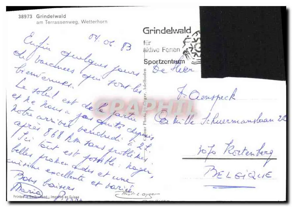 Grindelwald — Terrassenweg, Wetterhorn — Grindelwald für aktive Ferien Sportzentrum - Rückseite