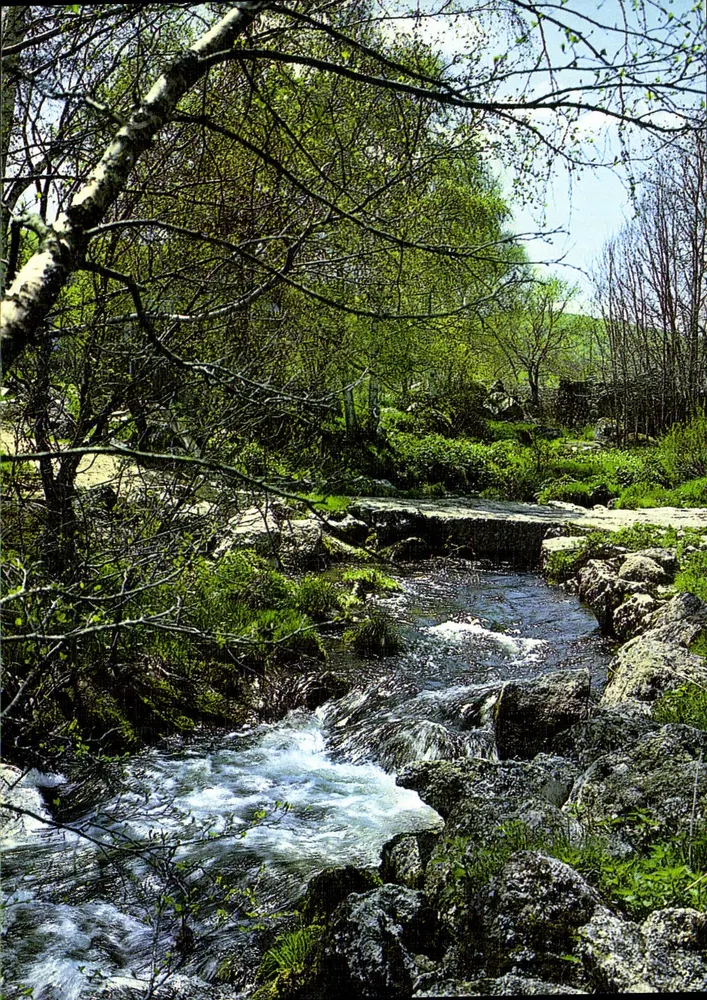 Bach im Wald — Luxusausgabe — Photo Editions BOS 15130 Ytrac - Vorderseite