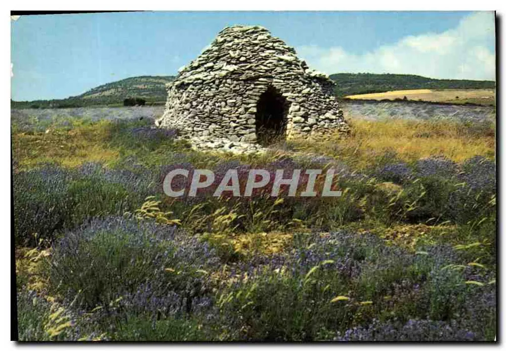Ruines de lavande — Provence — Éditions de Provence G.A.L. - Recto