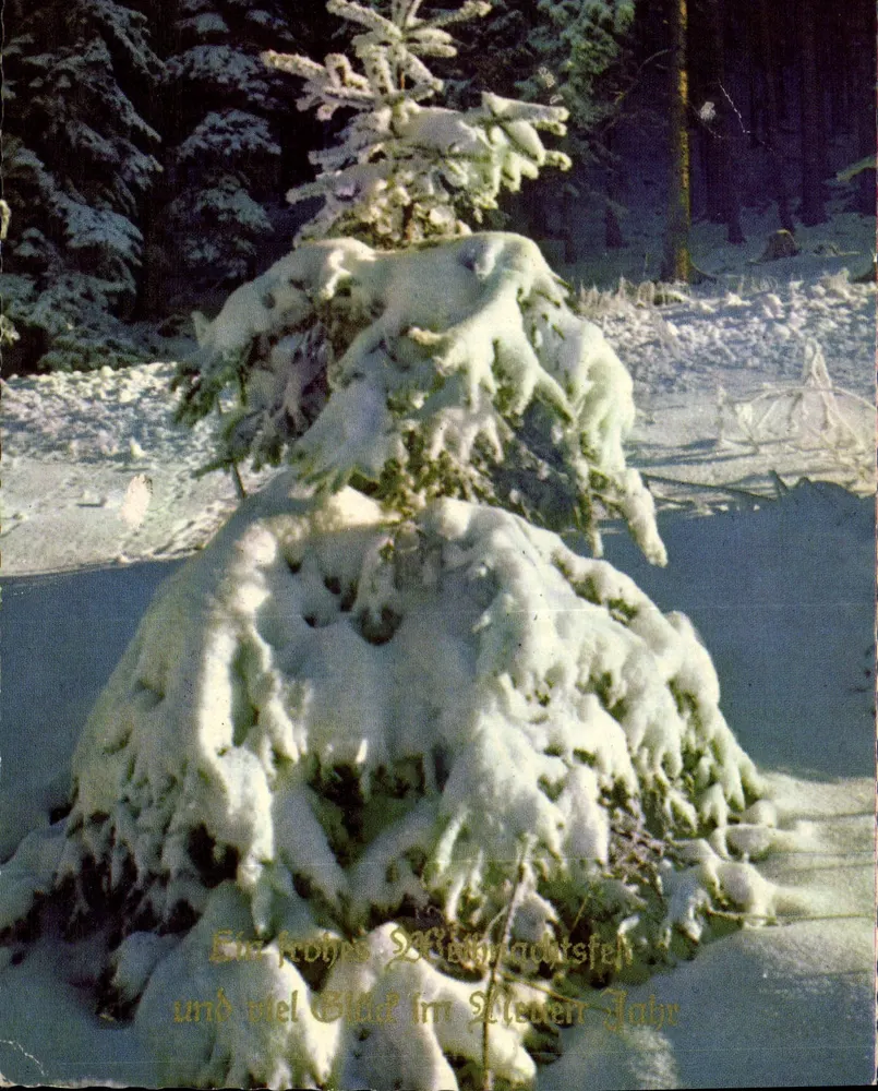 Árvore de Natal nevada — Floresta — Wanger, série G - Frente