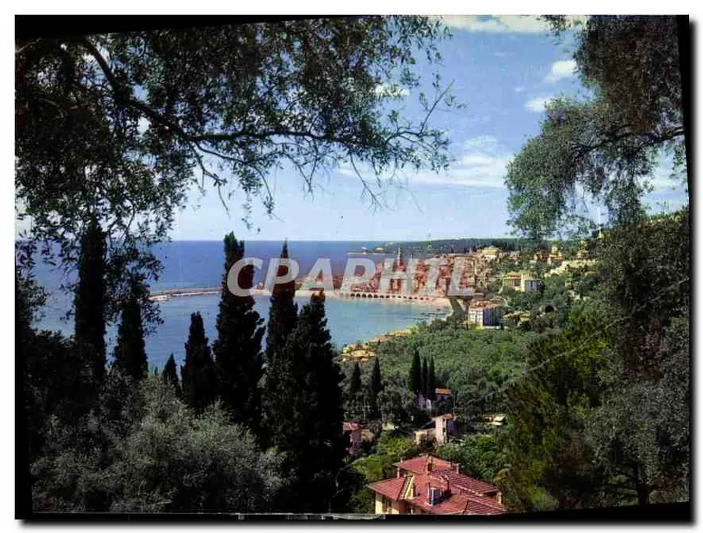 Menton — Allgemeiner Blick durch die Olivenbäume — Edition A.D.A. Nîmes - Vorderseite