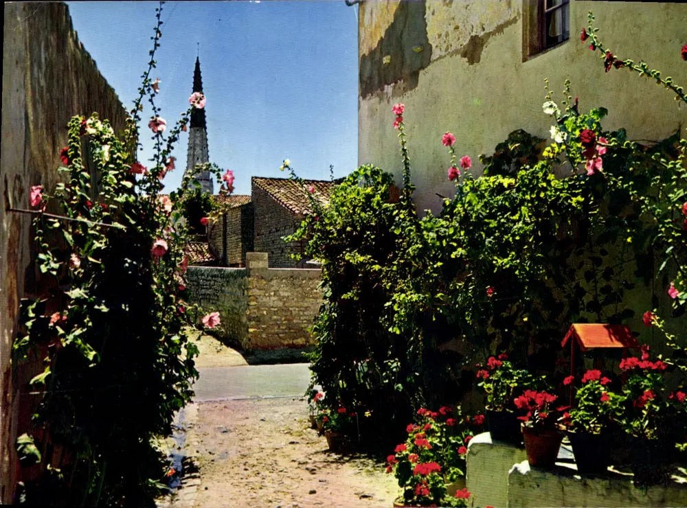 Blühende Gasse in Fleury-les-Auxence — Verlag Couleurs Naturelles, Nr. 52 - Vorderseite