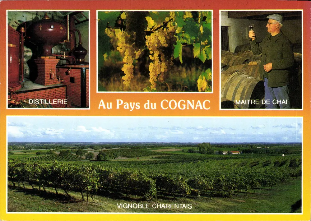 No País do COGNAC — Vignoble Charentais — Artaud Editores - Frente