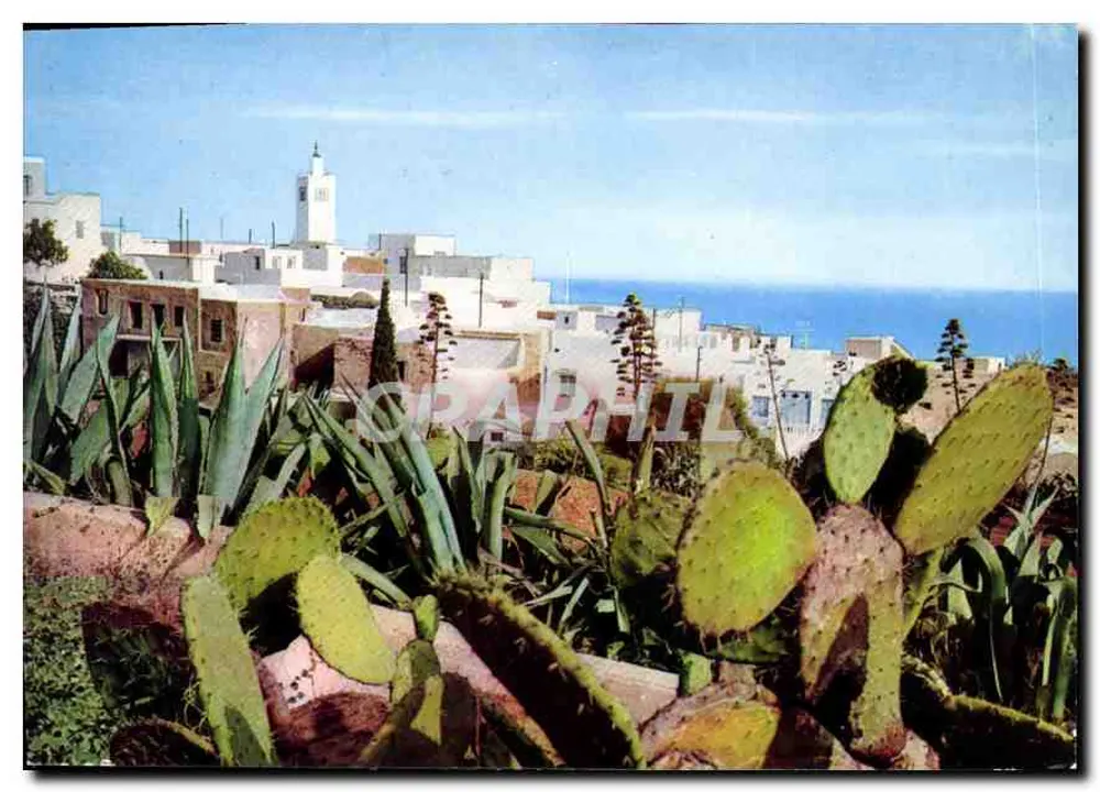 Sidi Bou Said — Vista Geral — H. Ismaïl, Rue Gamel Abdel Nasser, Tunis - Frente