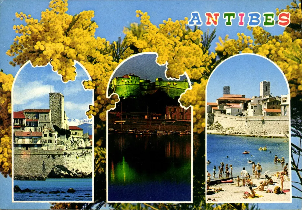 Antibes — vista panorâmica com mimosa — Les Editions Gilletta, n°813 - Frente
