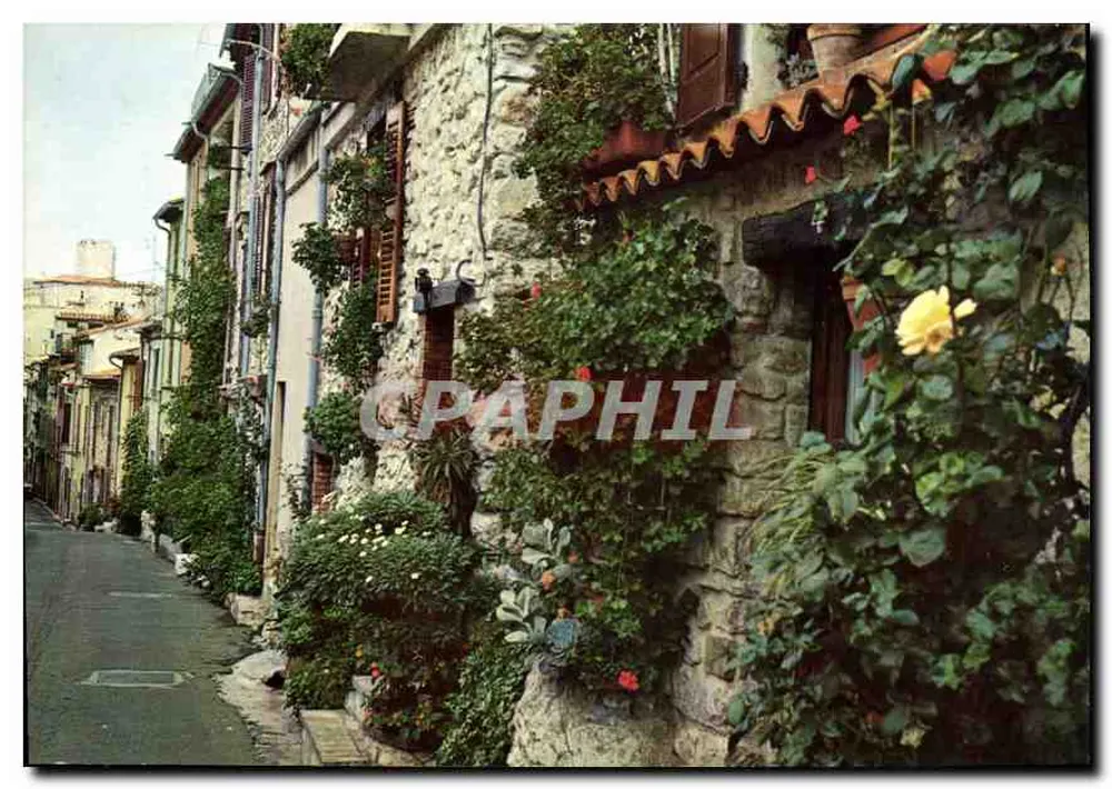 Antibes - Rue du Castellet — Litografia SEVEN S.r.l. Verona Itália - Frente