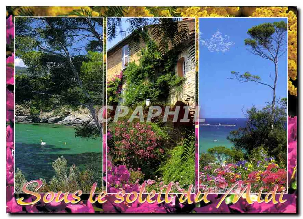 Sob o sol do Meio-Dia — paisagem provençal - Frente