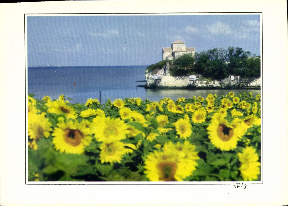 Sóis incomuns diante de Talmont — REFLETS DE CHARENTE-MARITIME — editor cap-théojac, n° 178033 - Frente