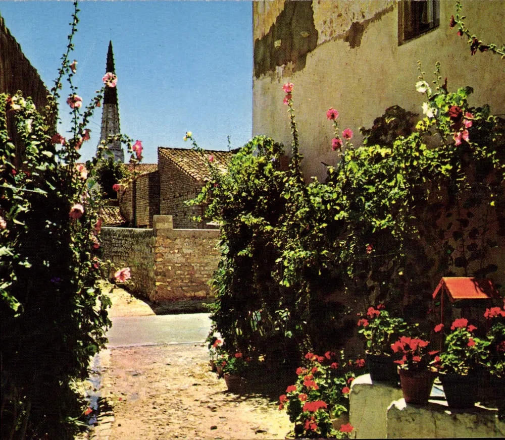 Insel Ré (Charente-Maritime) — Eine hübsche blütenbestückte Gasse — Natürliche Farben, n° 197 - Vorderseite