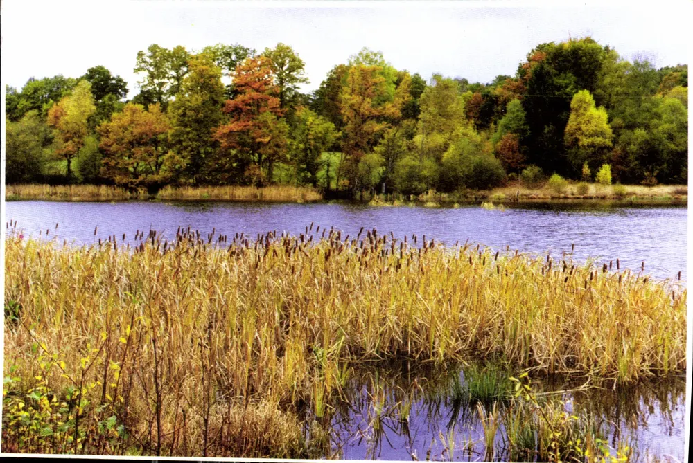 Lago dos caniços — outono — Edição 'France Regard' n°33 - Frente
