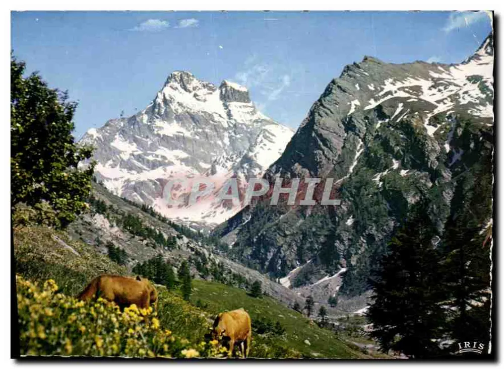 Alpes del Mont Viso — Alpes italianas — editor IRIS - Anverso