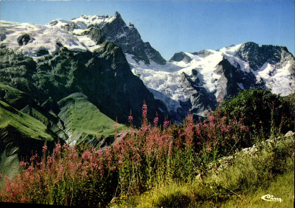 Alpes - A Meije (alt. 3.947 m.) — vista panorâmica — editor Cing, n° 000 003 - Frente