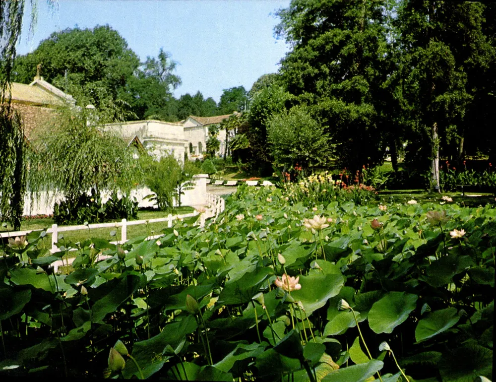 Barbotan-les-Thermes — O Parque dos Lotos — Cartes MYS, Agen - Frente