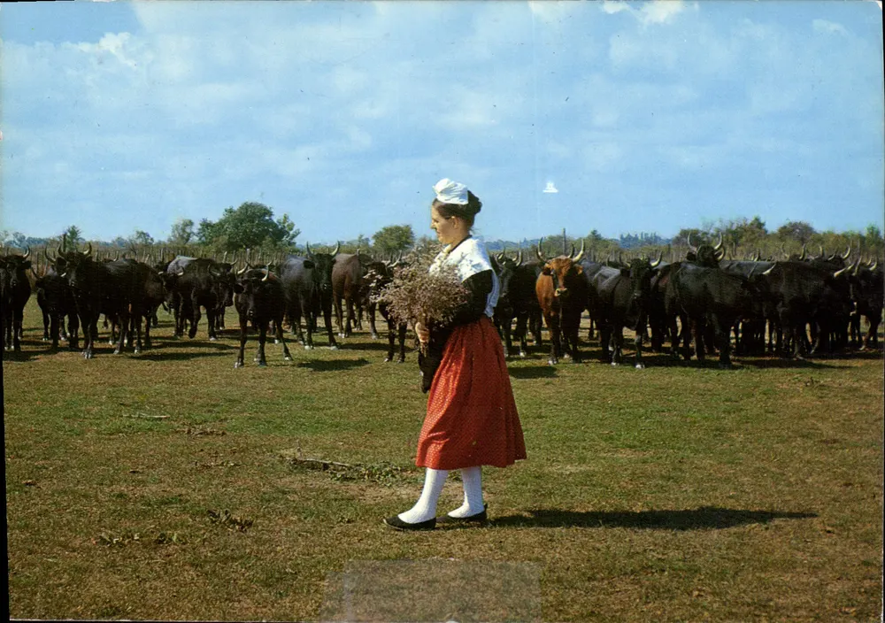 Frau im traditionellen Kleid — Mireille besucht ihre Manade — Les Belles Images de Camargue - Vorderseite