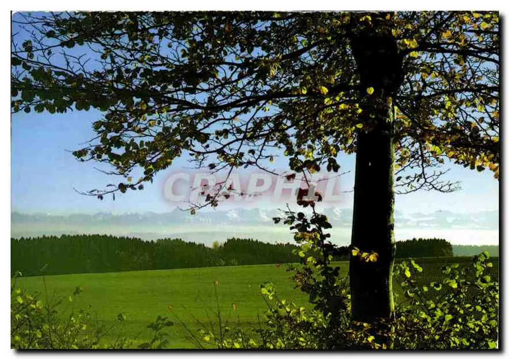 Campagne Vaudoise perto de Correvon (VD) — reprodução proibida — Globeophone Edição Deruaz - Frente