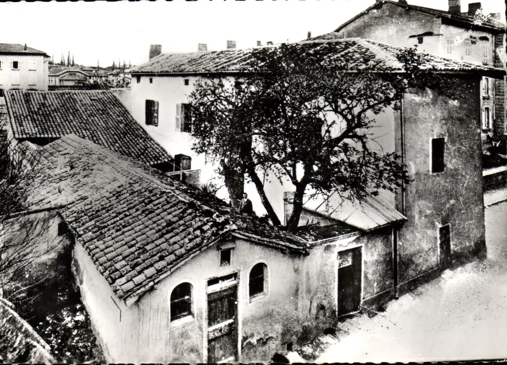 Presbítero do Santo Curado de ARS (Ain) — Cliché GARNIER — n°153 - Frente