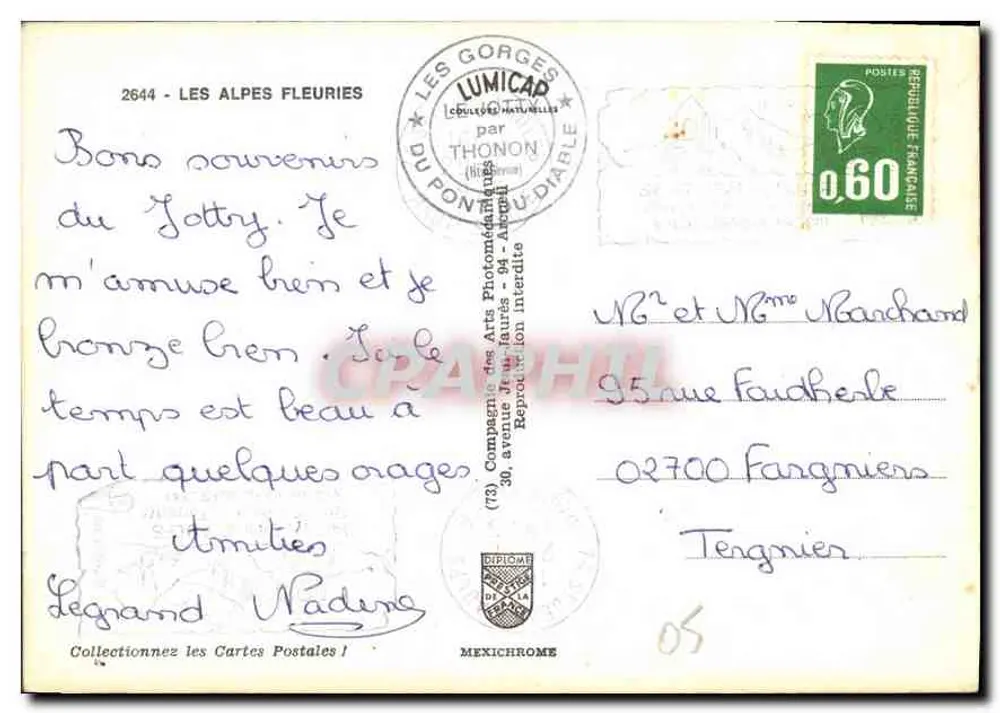 As Alpes Floridas — Colagem de flores e montanhas nevadas — Lumicad, Thonon-les-Bains - Verso