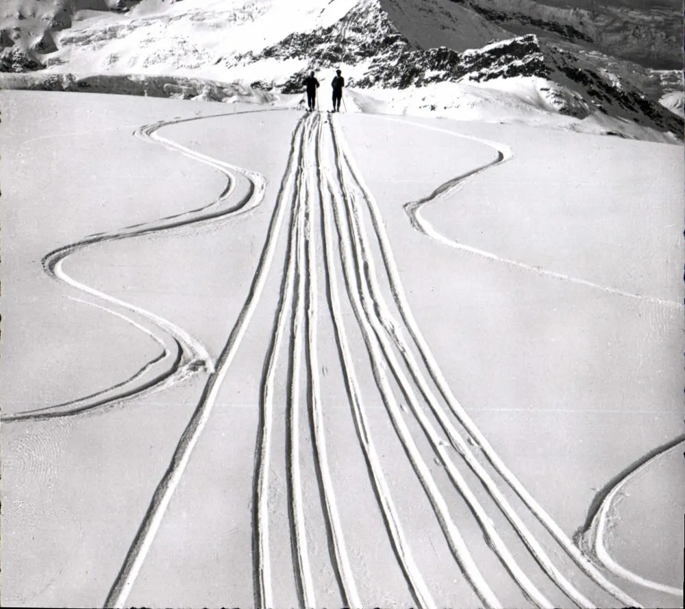 Dwa narciarze na lodowcu Zermatt — Zermatt, Matterhorn — wydawca J. Weber & Cie, nr 2/8423 - Awers
