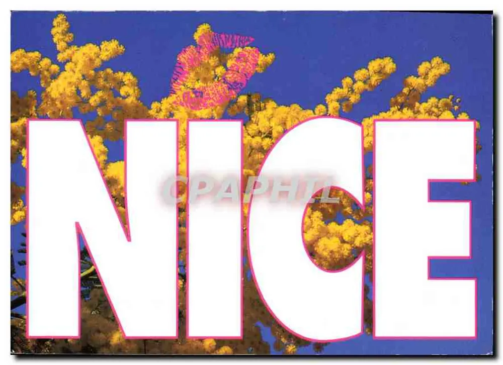 Nice — flores de mimosa — Delos Éditions, N° 191 - Frente