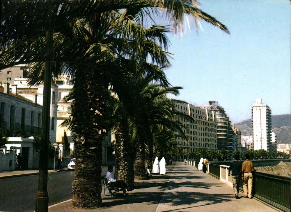 Boulevard de l'A.N.P. — Oran — Verleger B.E.D. Zouaïnahmed Lahouari - Vorderseite