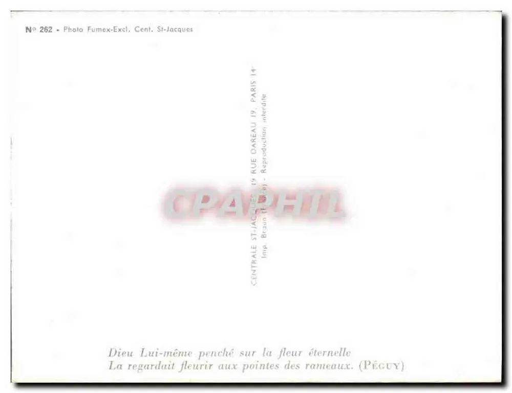 Schneebedeckte Berg — Frühlingssicht mit blühenden Zweigen — Photo Fumex-Excl. Cent. St-Jacques, Nr. 262 - Rückseite