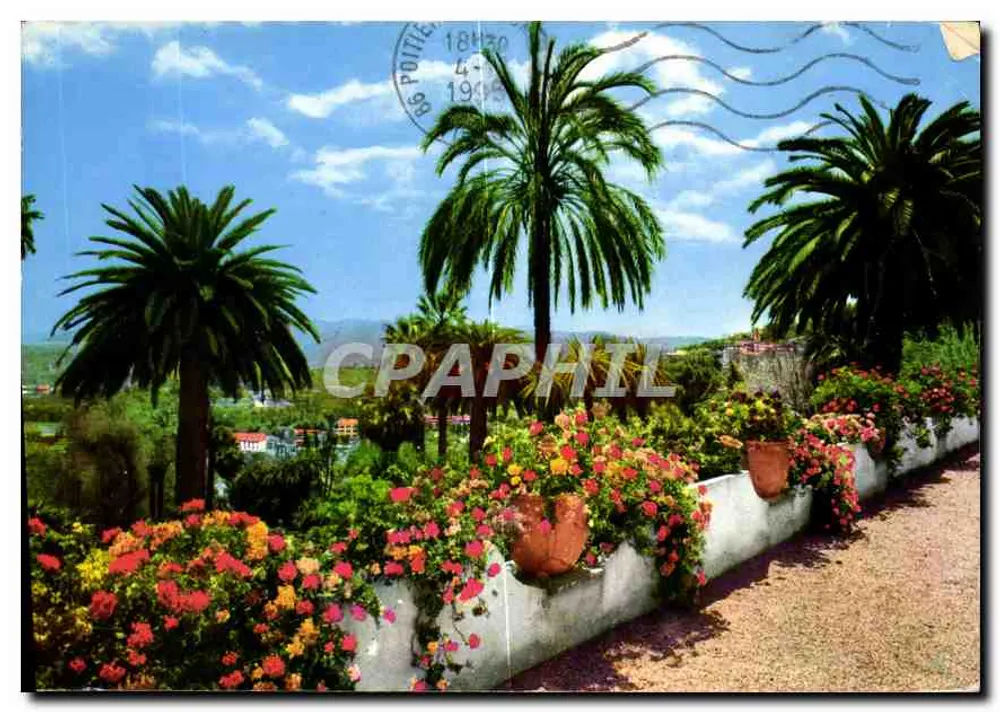 Côte d'Azur e Provence — Sua vegetação exótica — Éditions S.E.P.T. - 75/56 - Frente