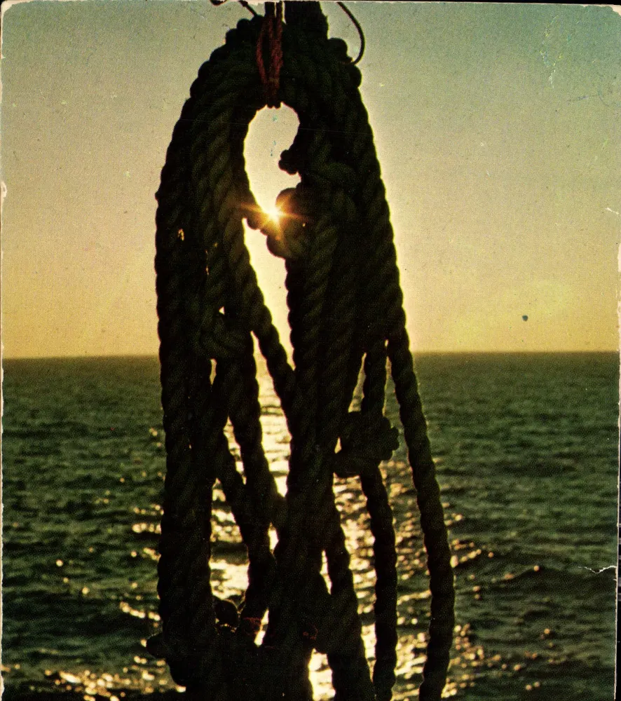 Cordas silhuetadas contra o pôr do sol — ARTAUD Frères, n°155 - Frente