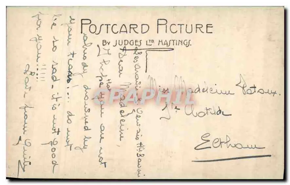 लकड़ी की खराब बर्ड — एक जंगल के दृश्य में पत्तेदार झाड़ियों और बर्च के पेड़ों के साथ — जजेस एलपी हस्टिंग्स - पीछे