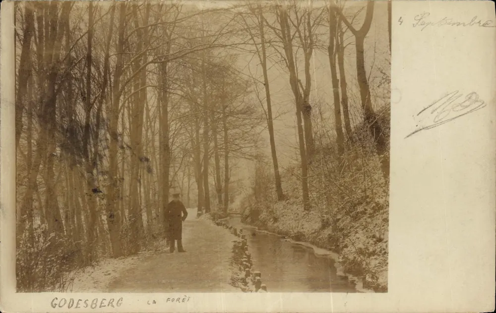 GODESBERG — La Forêt — Photo - Recto