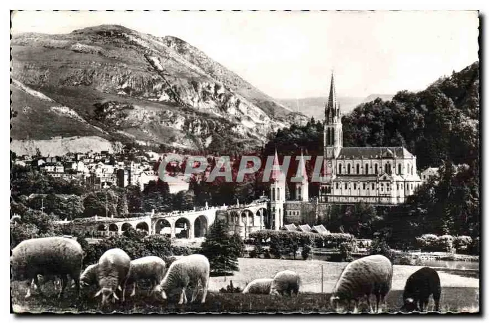 Lourdes — La Basilica e il Pic du Jer — Edizione P. Doucet, Lourdes - Recto