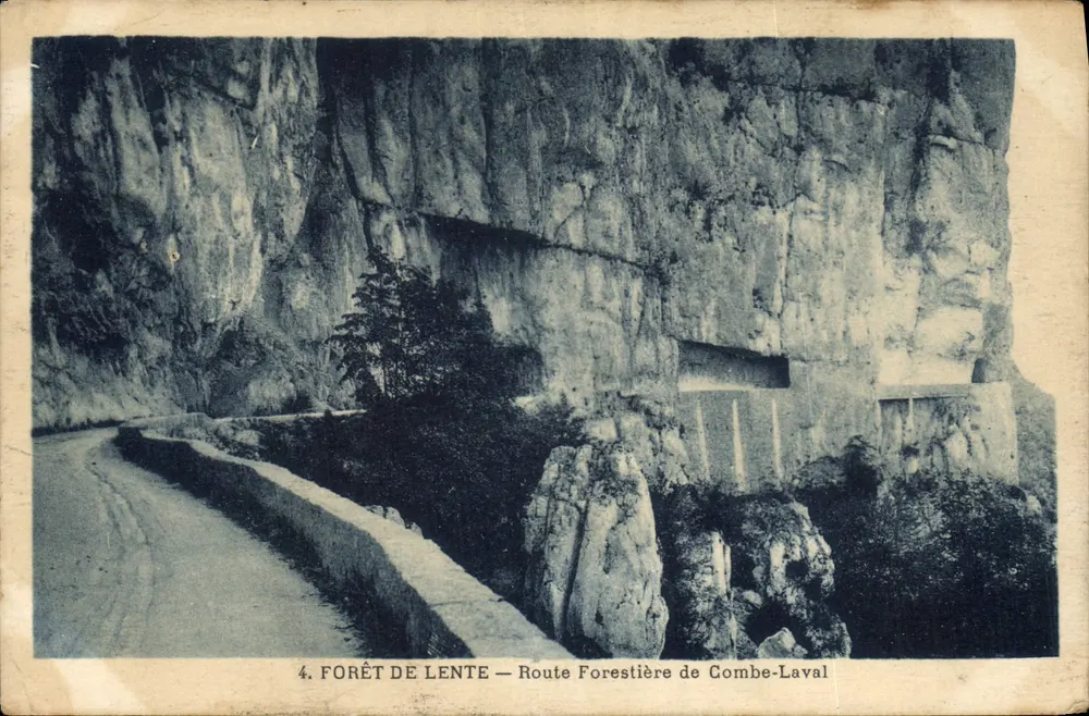 Floresta de Lente — Estrada Florestal de Combe-Laval — Boyer, fot. Romans - Frente