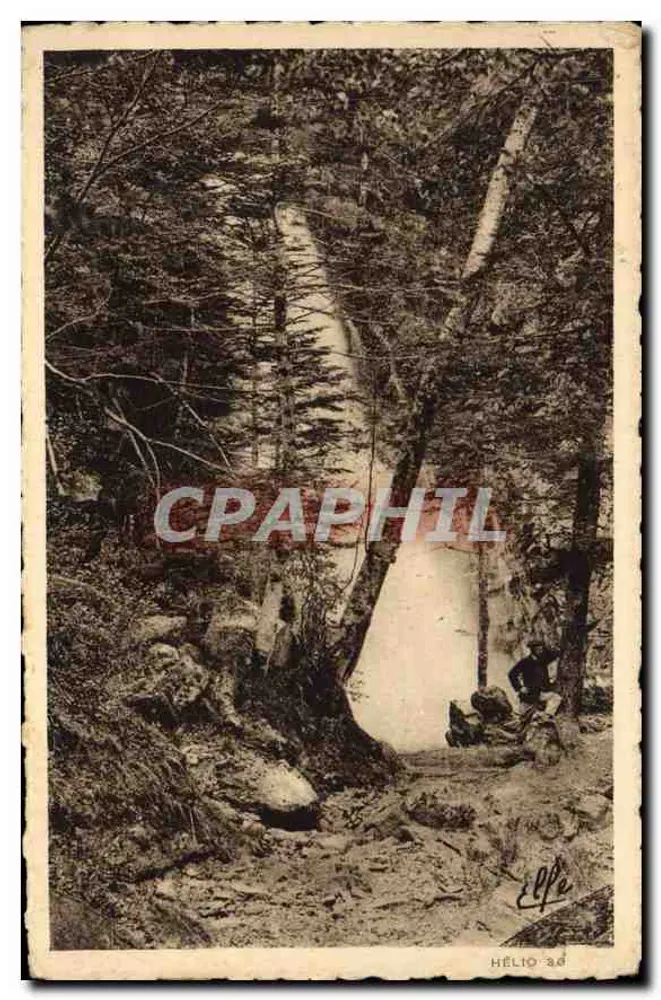 Cachoeira em um canyon florestal — Héliot, n° 36 — Editor Héliot, Luchon - Frente