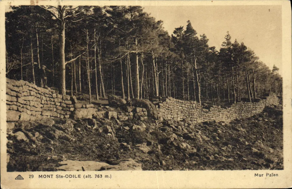 Monte Ste-Odile (alt. 763 m.) — Muro Páreo — Bilhete postal antigo n°29, editor Bilhete postal antigo DES ARTS - Frente