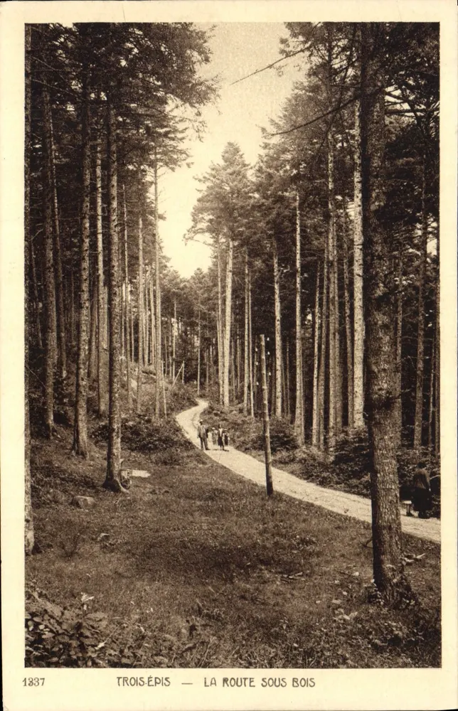 Trois-Épis — A Estrada Sob as Árvores — Editor Braun & Cie, Dommach (H1-Rhin) - Frente