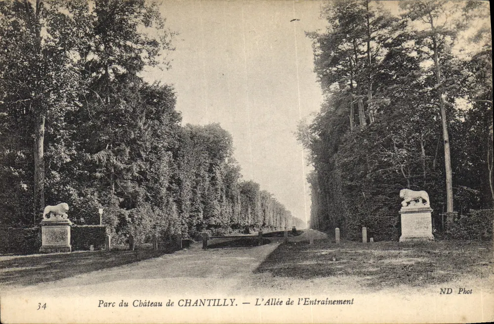 Park des Schlosses CHANTILLY — Die Trainingsallee — ND Phot - Vorderseite