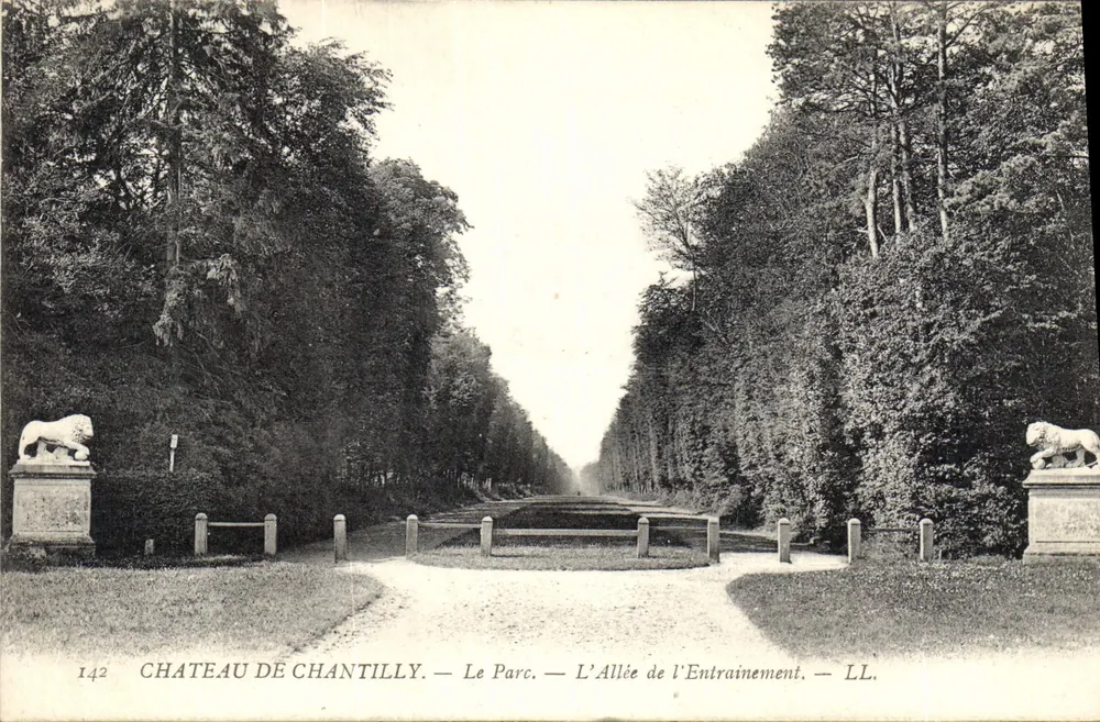 Château de Chantilly — Der Park — Die Trainingsallee — LL. - Vorderseite