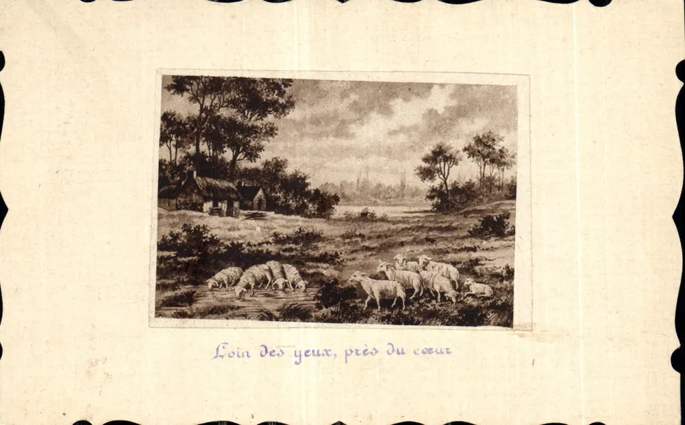 Landschaft mit Schafen — Aus den Augen, aus dem Sinn — Ansichtskarte - Vorderseite