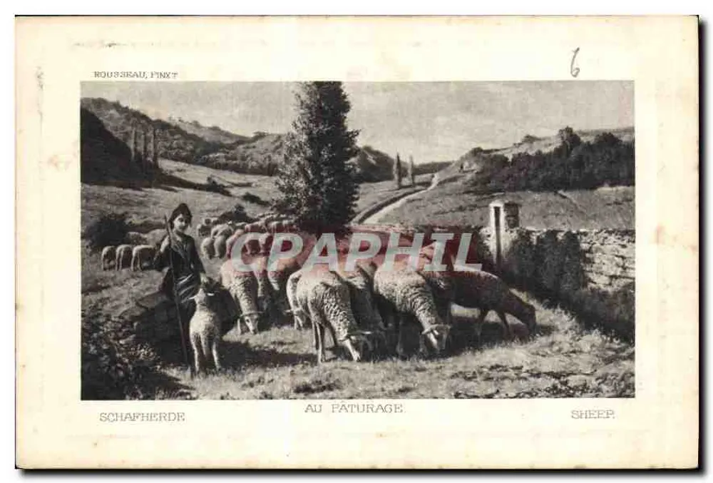 Schapenweide — pastorale scène — Roussau, Pinky, serie 12 - Voorkant