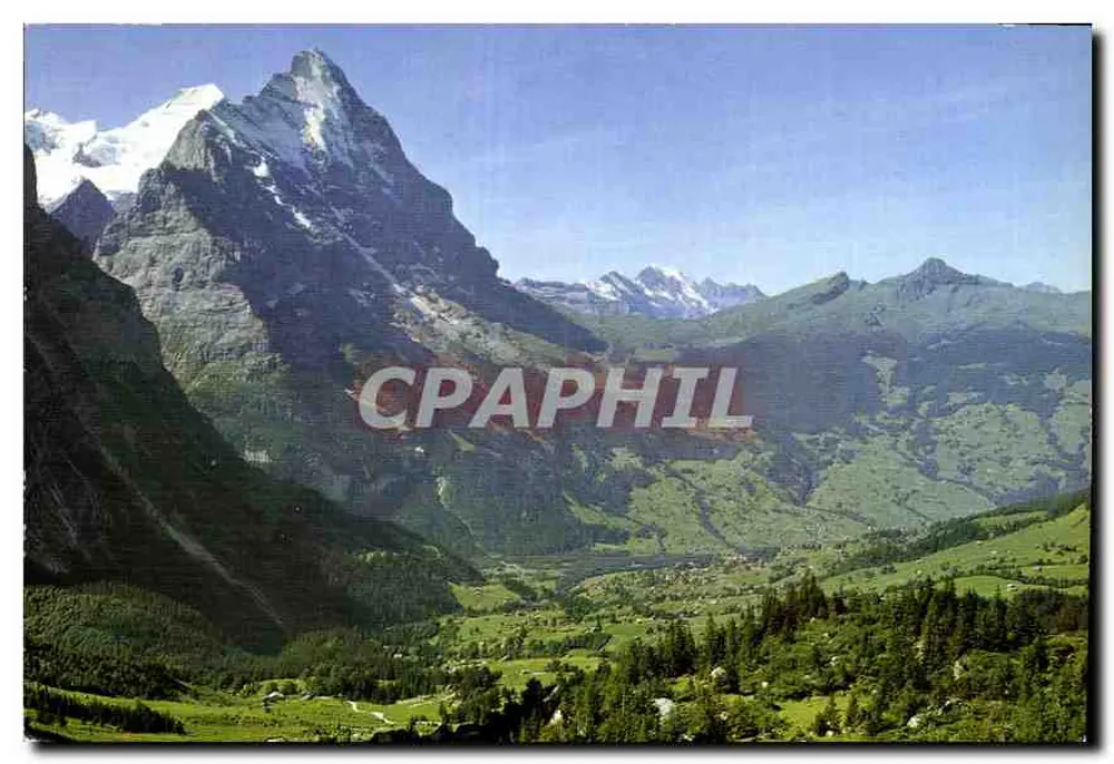 Grindelwald — Mönch, Eiger, Blümlisalp, Büttlissen — Foto von Gyger, Adelboden - Vorderseite
