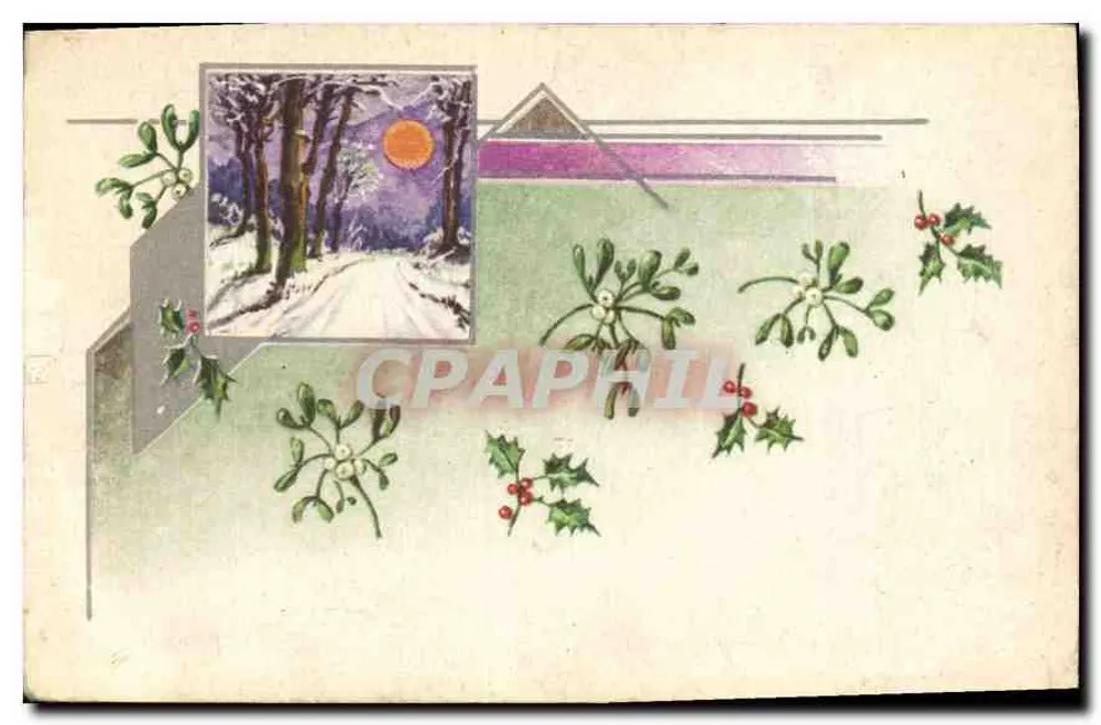 Paisagem invernal — floresta nevada sob a lua — decoração de visco - Frente