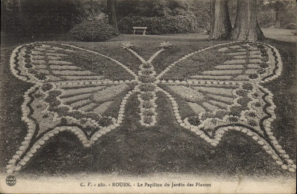 Rouen — Der Schmetterling im Jardin des Plantes — C. V. 280 - Vorderseite