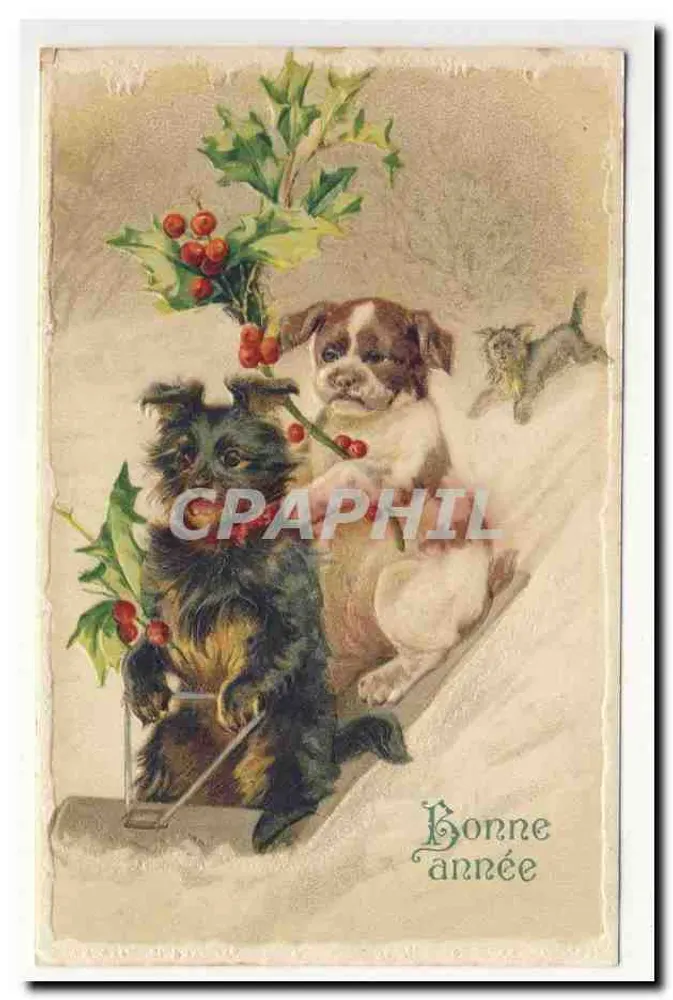 Zwei Welpen und ein Ebereschen — Winterlandschaft — Verlag nicht sichtbar - Vorderseite
