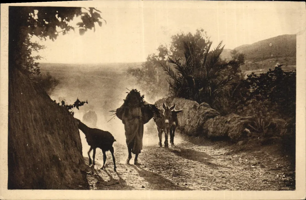 Gafsa — Paisagem rural com pastor e jumentos — Ollahé P. B. Guillot - Frente